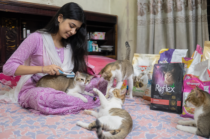 Cat parent with cats