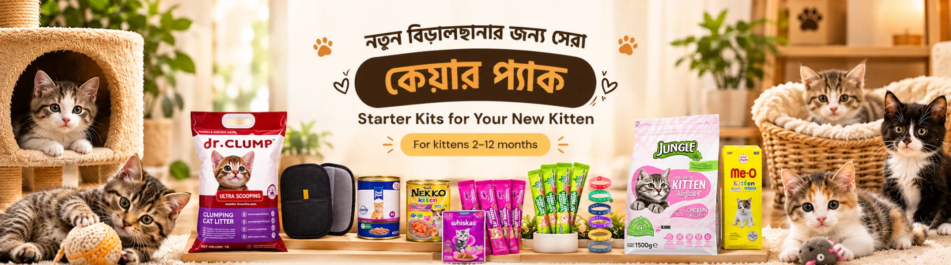 নতুন বিড়ালছানার জন্য সেরা কেয়ার প্যাক — Starter kits for your new kitten, for kittens 2 to 12 months