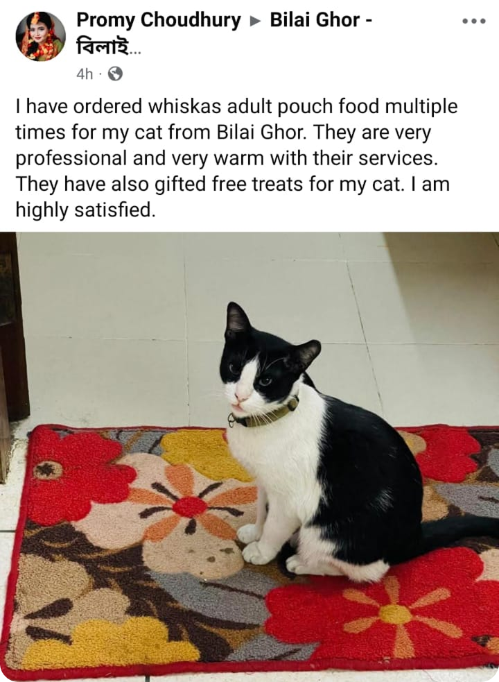 Customer review of Bilai Ghor 3